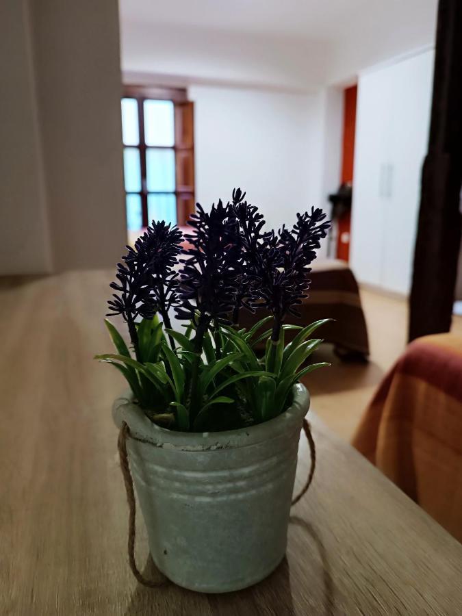 Corrala De San Anton. Sencillo Apartamento En Pleno Centro Гранада Екстериор снимка